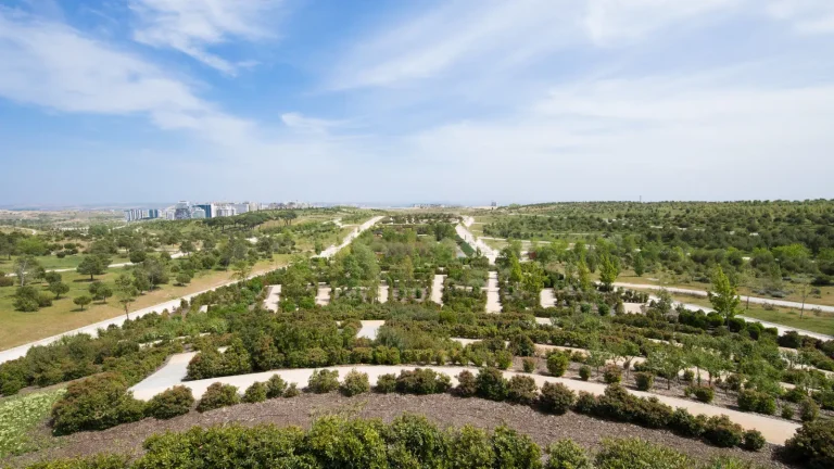 Alquiler piso en Valdebebas, disfruta de este barrio con espacios flexibles a tu medida